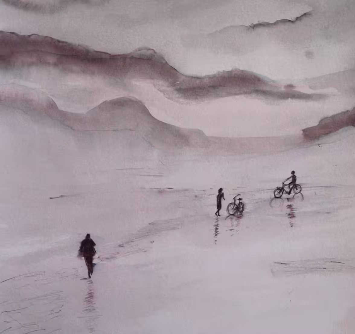 Paisatge monocrom amb bicicletes